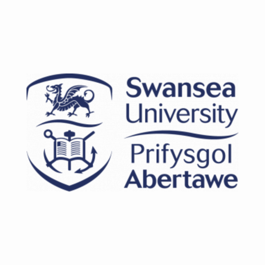 Swansea University